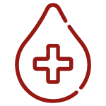 SBV Medical Valais Icon 23